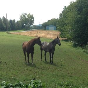 Meet your Posher, Natalie